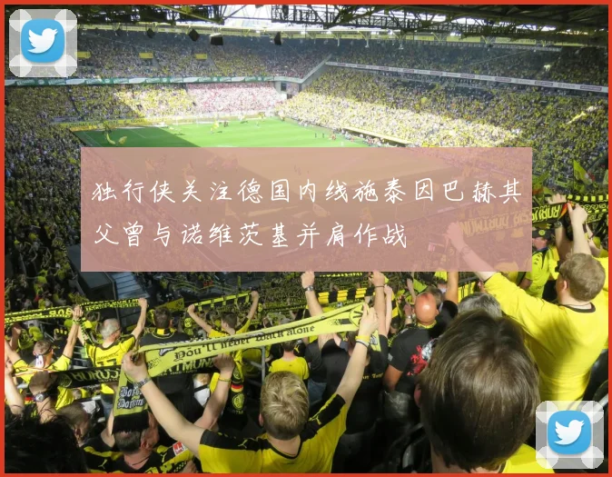 独行侠关注德国内线施泰因巴赫其父曾与诺维茨基并肩作战